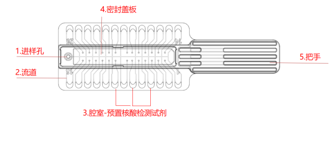 Chip structure